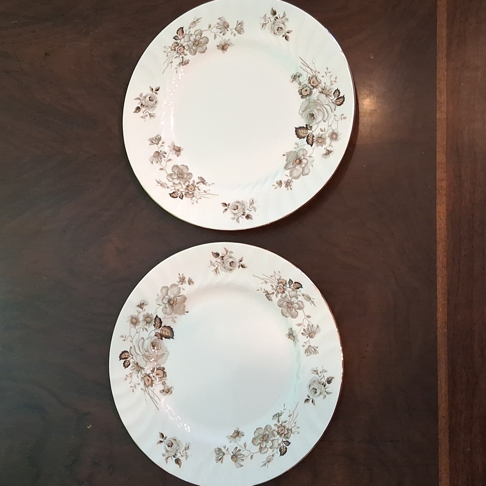 2 Queen Anne Floral Luncheon Plates  'Terra Nova'